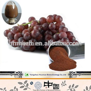 Pure Natural Procyanidin 95% Grape Seed Extract 